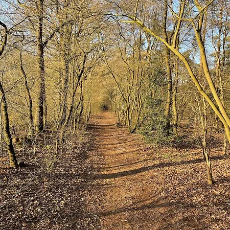 Woodland Plot * Putten