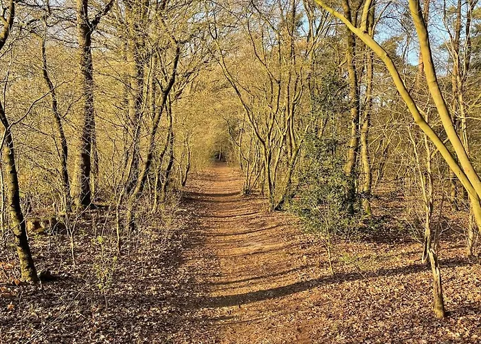 Woodland Plot * بوتِنْ